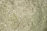 Natural Pyrite Concretion - China #142977-1